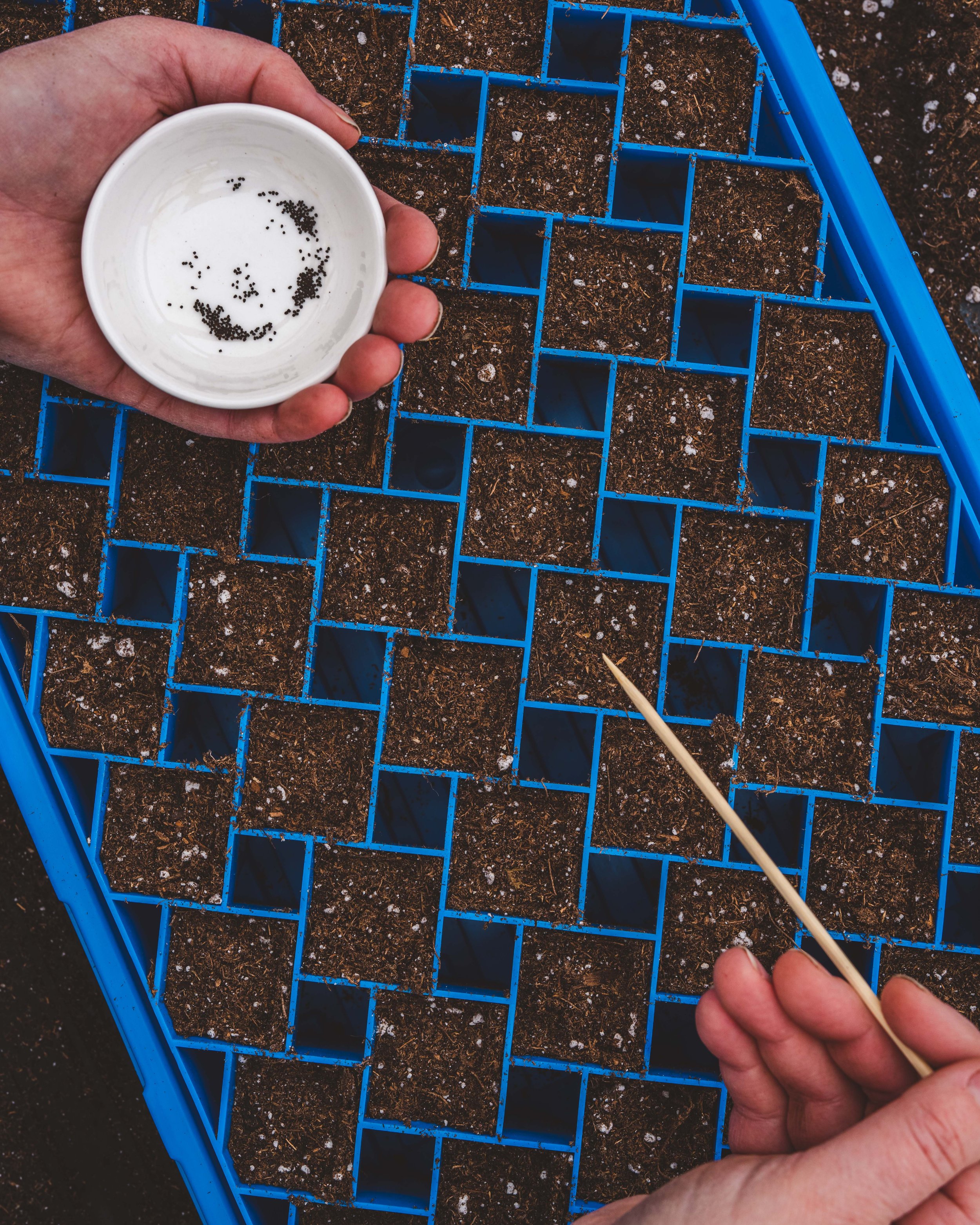 72-Cell Air Prune Trays