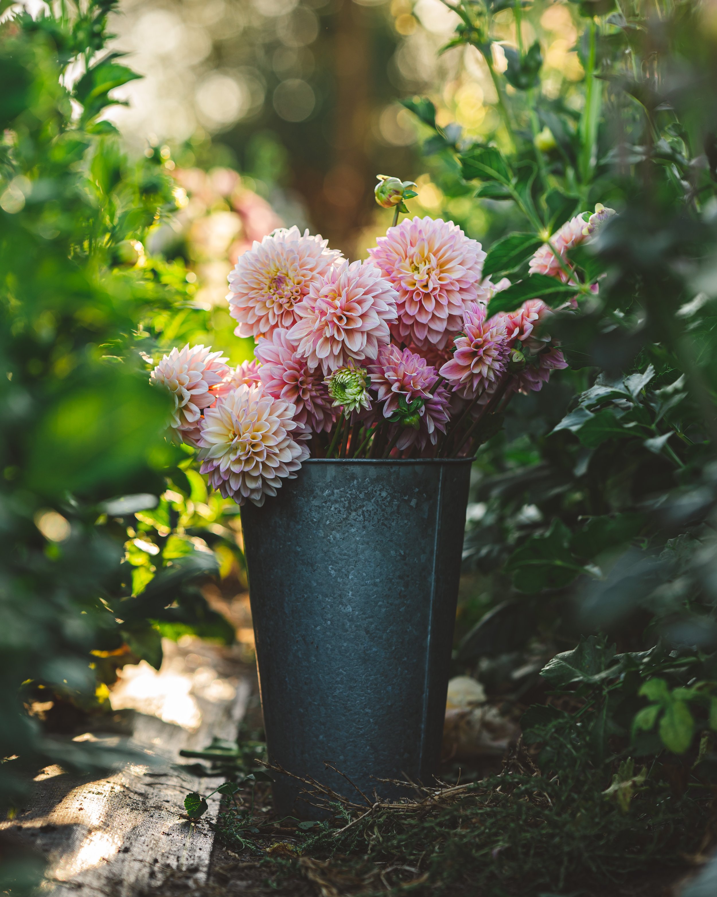 Marketing Basics for Flower Farmers: Pricing (Part Two)