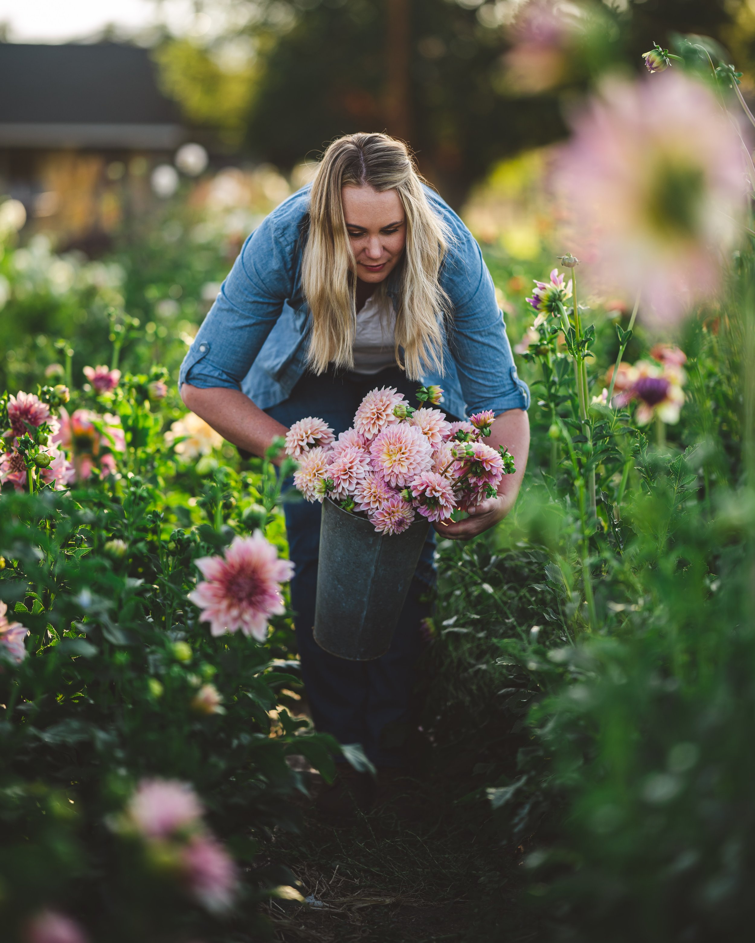 MORE ADVICE FOR FLOWER FARMERS