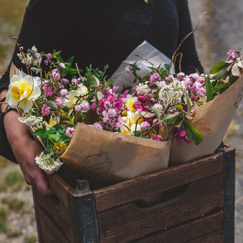 FLOWER CSA PART 3 | MARKETING