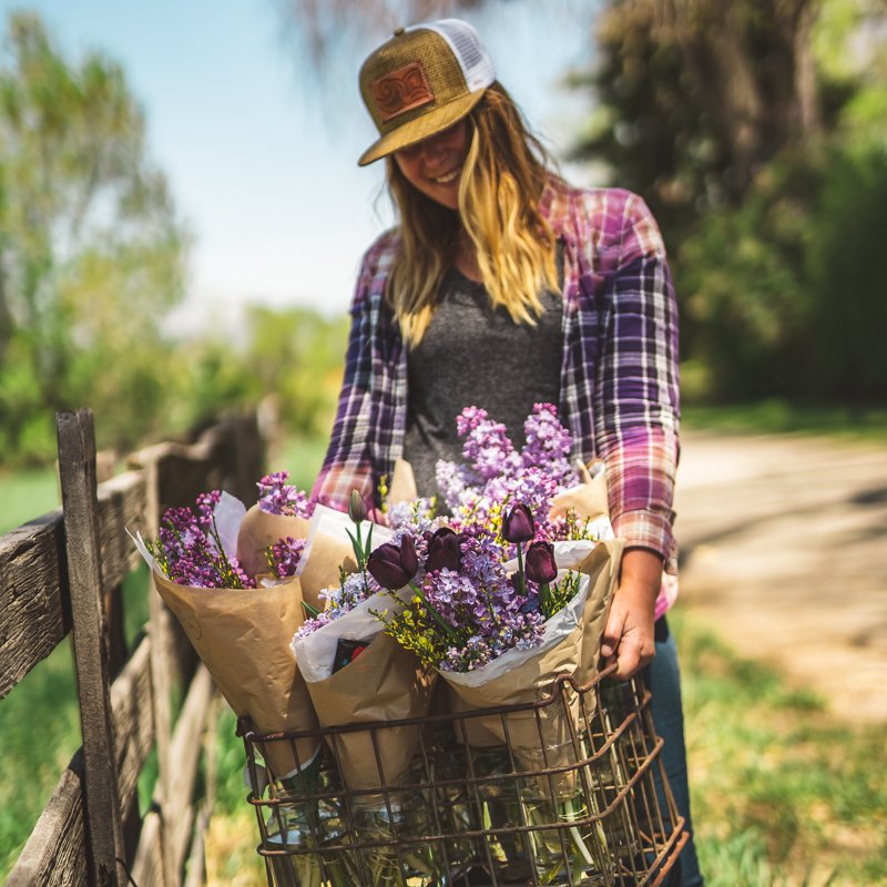 FLOWER CSA PART 1 | STUCTURING