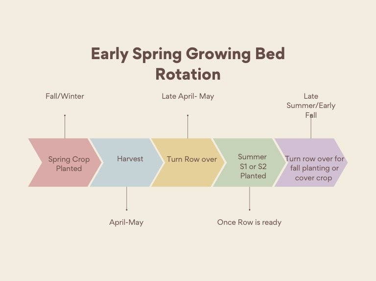 Early+spring+succession+flow+graphic.jpg
