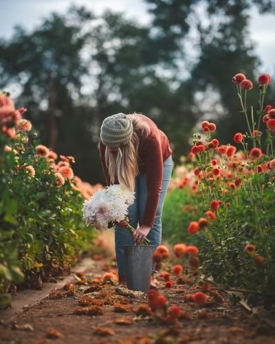Fall Vibes-05862.jpg
