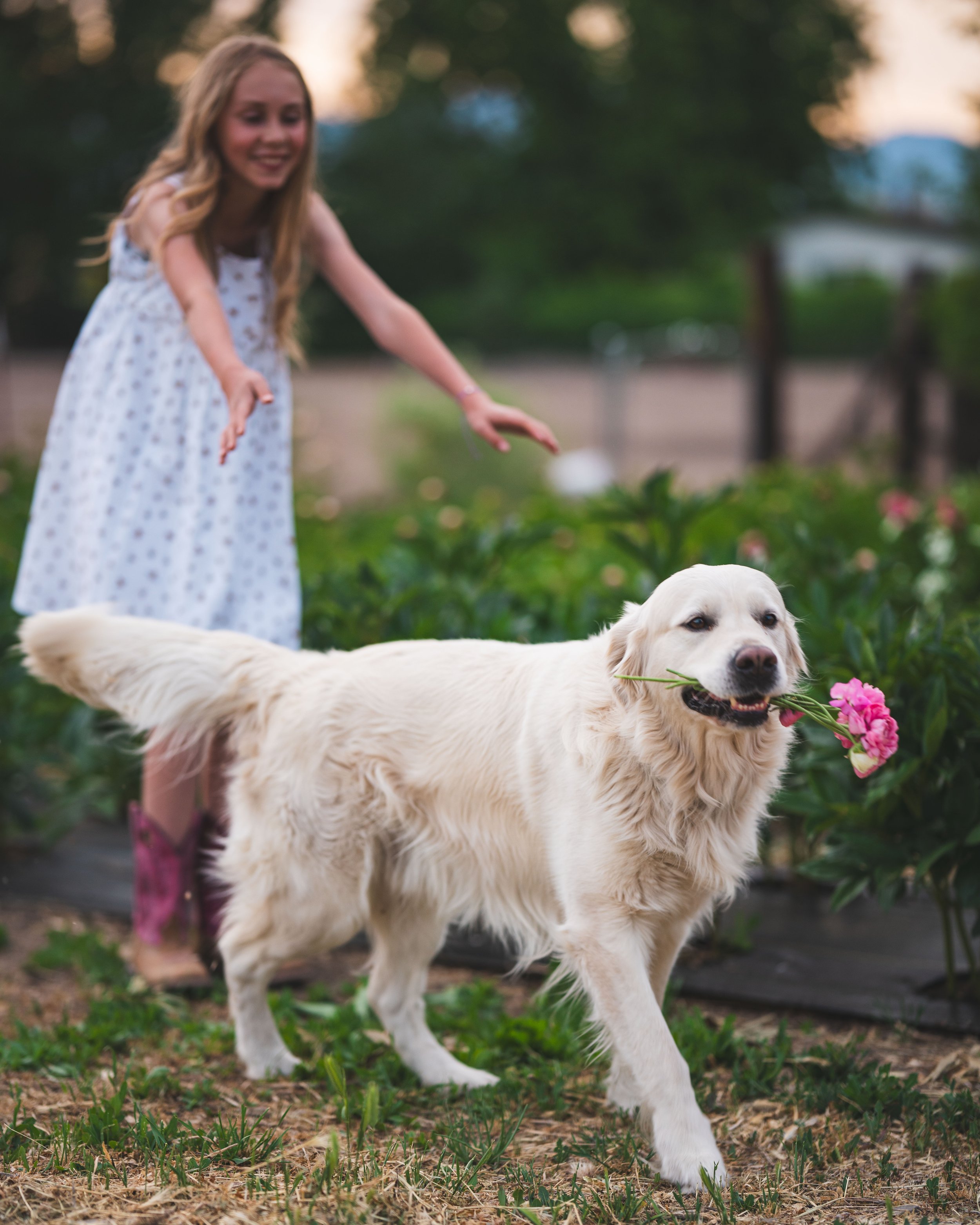 Finley & Flowers-08123.jpg