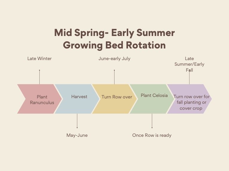 Mid+spring+example.jpg