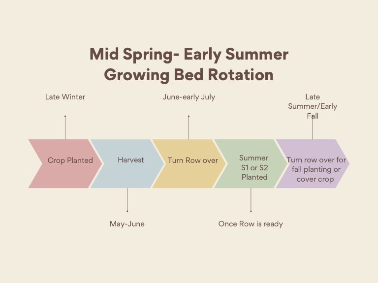 Mid+spring-early+summer+growing+bed+rotation.jpg