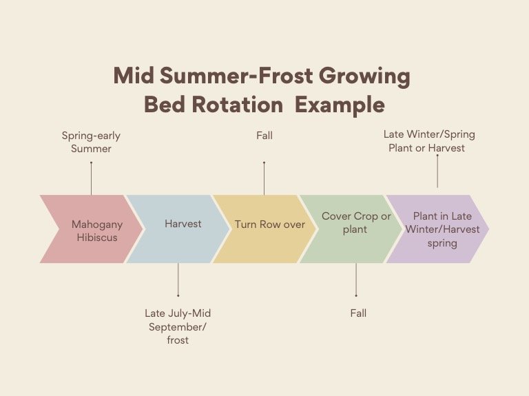 Mid+summer+to+frost+example.jpg