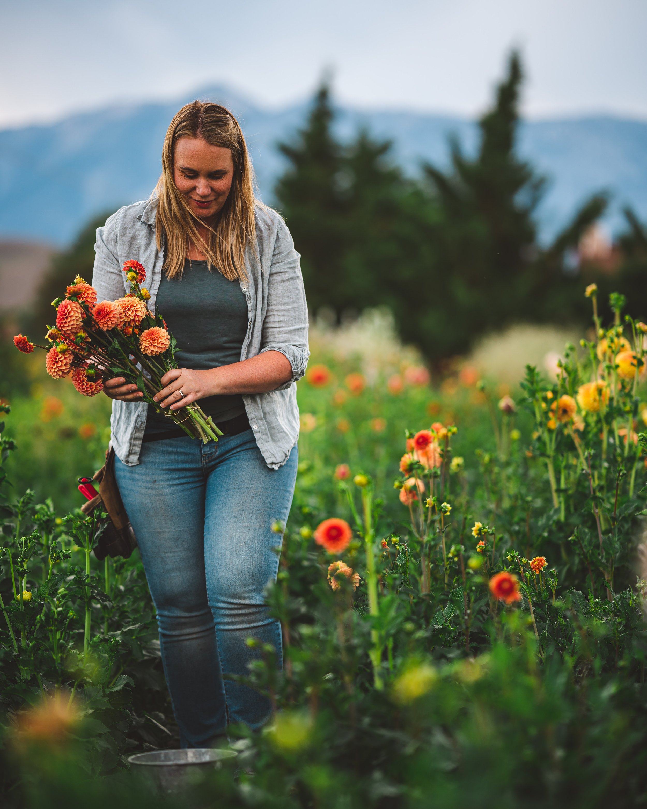 Marketing for Flower Farmers: Starting with the Basics (Part One)