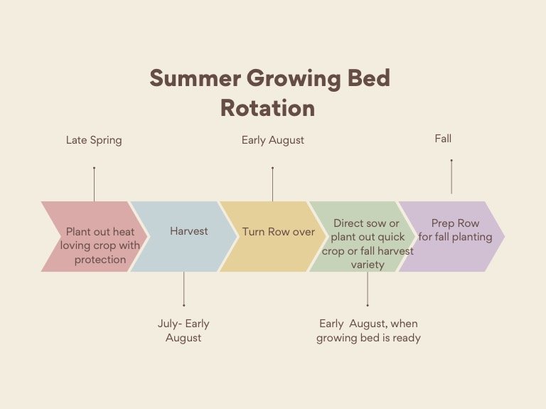 summer+growing+bed+graphic.jpg
