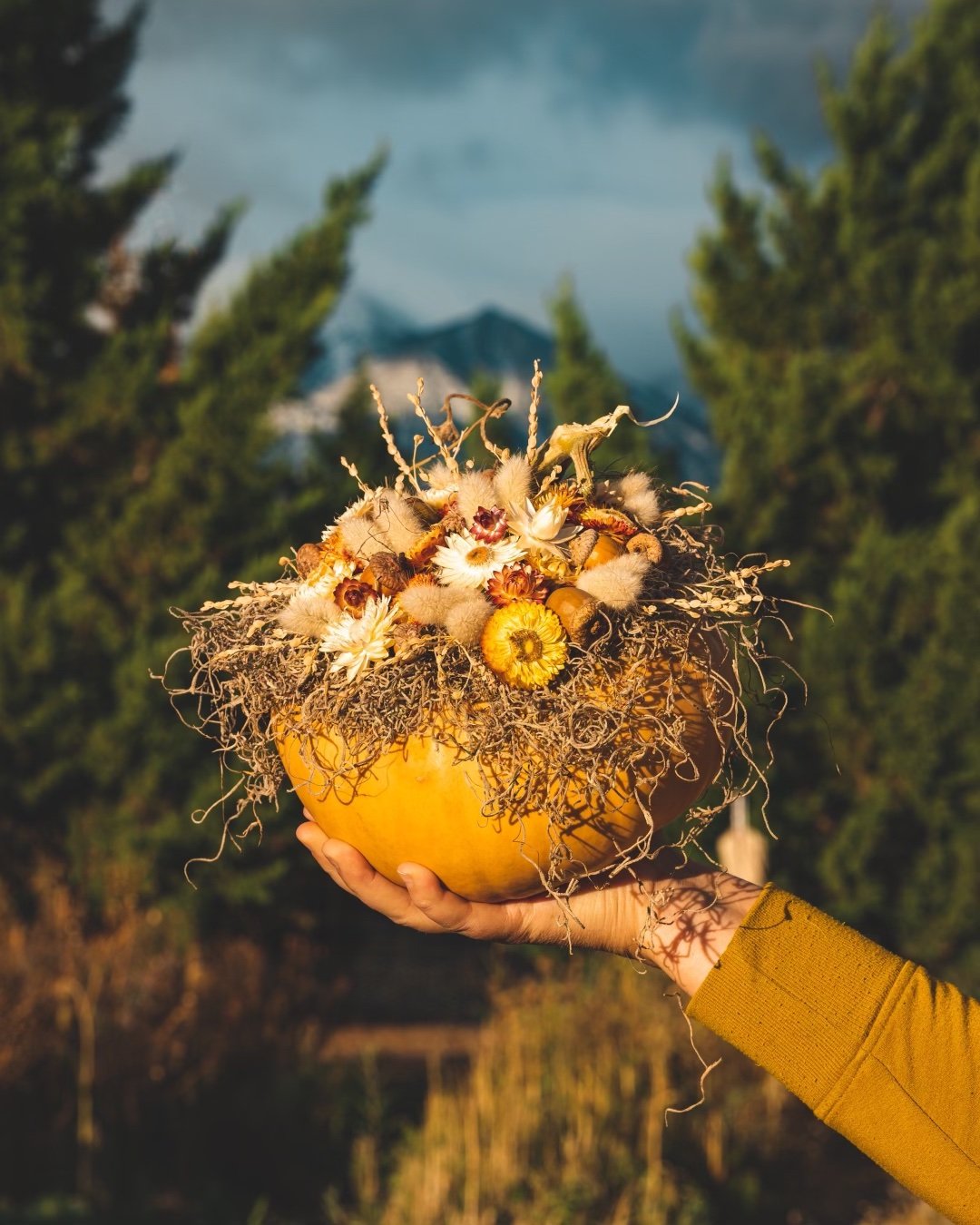 Whimsical Harvest Pumpkin.jpg