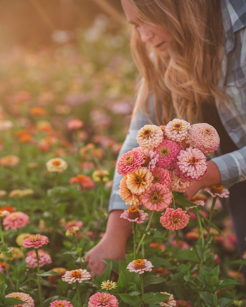 ADVICE FOR FIRST-YEAR FLOWER FARMERS